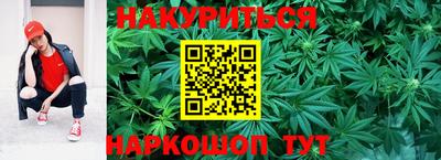 индика Пугачёв