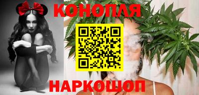 индика Пугачёв