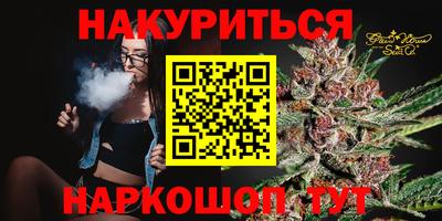 индика Пугачёв