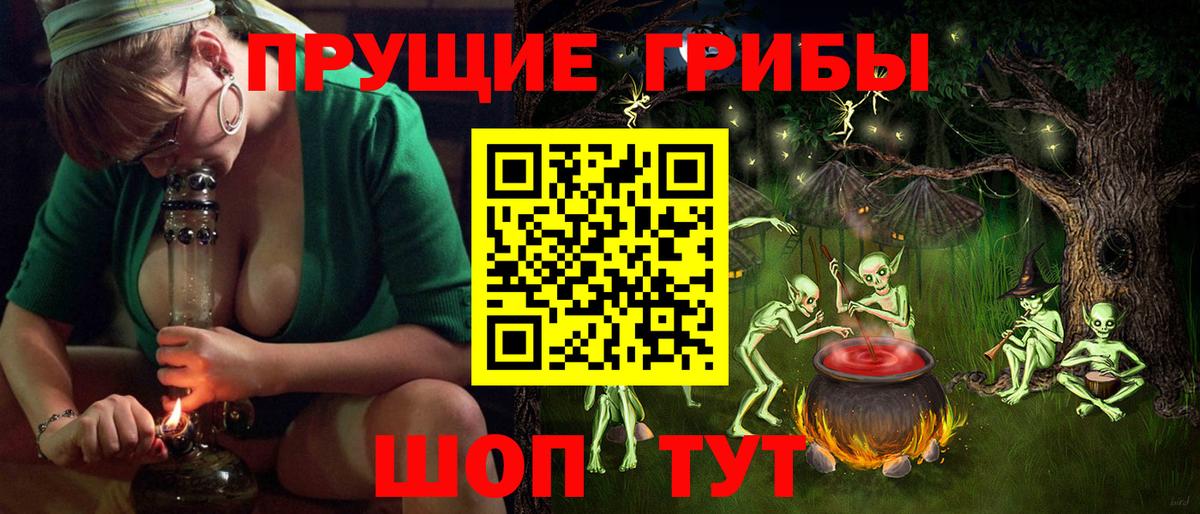 Псилоцибиновые грибы ЛСД Северобайкальск