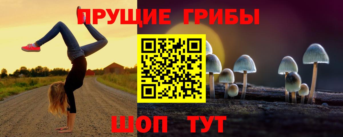 Галлюциногенные грибы Psilocybine cubensis  Галлюциногенные грибы Cubensis  Вход с VPN  Северобайкальск 